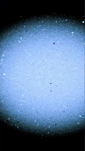 Corticospinal tract @SotonbrainhubUk1