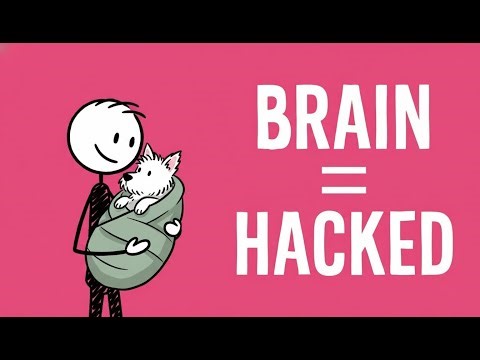 Why Your Brain Treats Your Pet Exactly Like A Human Child
