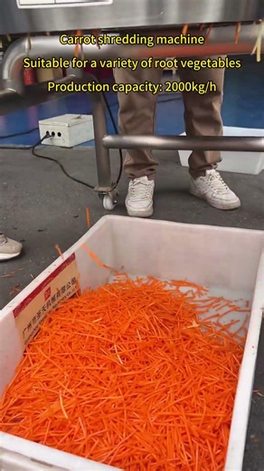 Carrot shredding machine Potato shredder