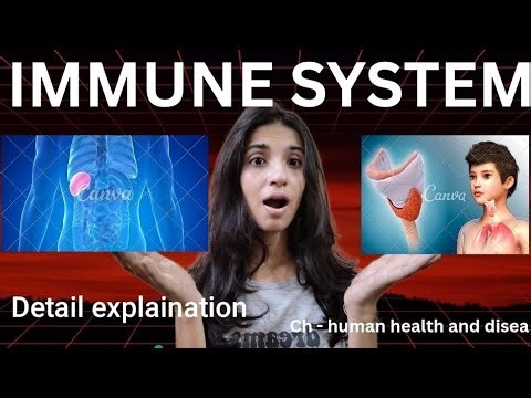 Immune system deatil explaination class12 human health and disease cbse biology ‪@Cbsechampions-hub‬