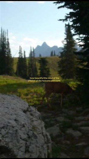 His hand is everywhere #fyp #God #explore #jesus #faith