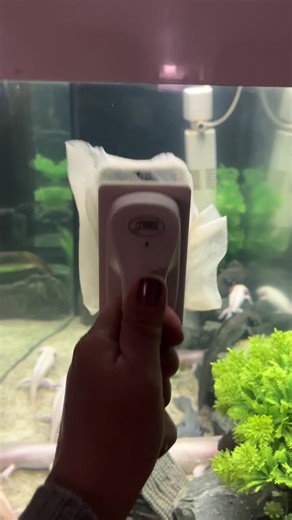 Уход за аквариумом: полезные советы для новичков