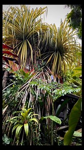 4.8K views · 273 reactions | Daytime Wonder, Nighttime Magic By day,...