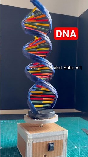 DIY Motorized DNA Model! 🧬⚙️#shortsfeed Nakul Sahu Art