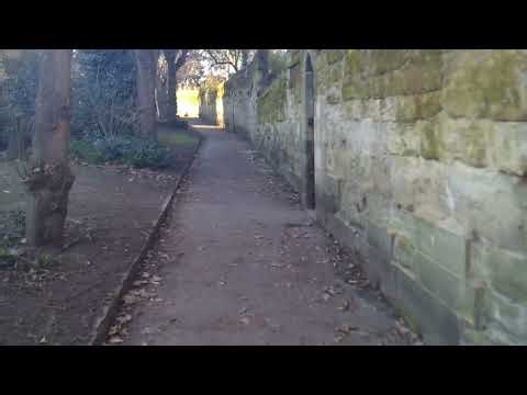 Discover the charming streets and peaceful gardens of Warwick, a historic English town filled beauty