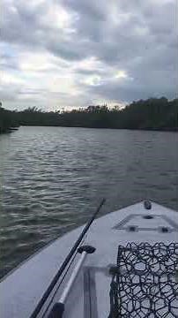 Skiff Life's build of the Bateau Fast Skiff 14 Low Sheer 1:11