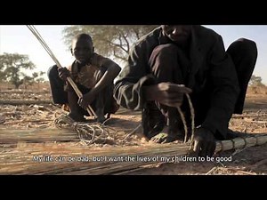 Story of Salissou: Eating locust as food