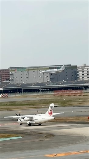 福岡空港 福江からチェックスターさん着陸 #福岡空港 #国土交通省 #チェックスター #cessna