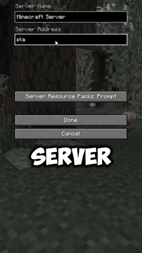 How to join the BEST Lifesteal SMP (IP: play.blockbay.fun Port: 19132) #minecraft #lifstealsmp