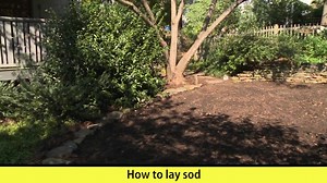 3.6K views · 107 reactions | Though Zoysia is used in this video, these steps apply to laying Elite Tall Fescue sod RIGHT NOW! Best time to install Tall Fescue is autumn through spring (don't install Fescue in the summer). | Super-Sod | Facebook