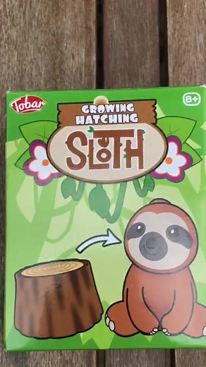 Jake Sweet on TikTok