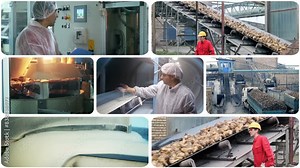 Sugar Manufacturing - Conceptual Multiscreen Video Montage. Sugar Warehouse Worker at Work. Sugar Bag Palletizing and Pallet Wrapping. Sugar Factory. Sugar Packaging Line.