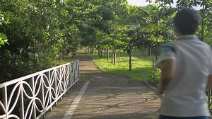 Download Rear view of woman jogging on the pathway in the park. for free
