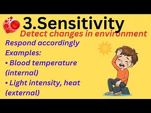 IGCSE Biology: Characteristics of Living Organisms | MRS GREN Explained |Lesson 1