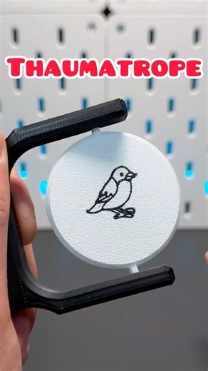 3D Printed Thaumatrope #howto #3dprinting #fidgettoysplus #fidgettoys #toys #fidget #3dprint