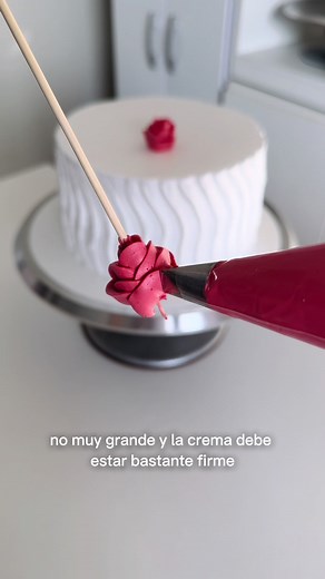 Mérida Cakes on TikTok