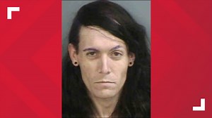 Baby alligator, syringes of meth and guns allegedly found during Collier County traffic stop