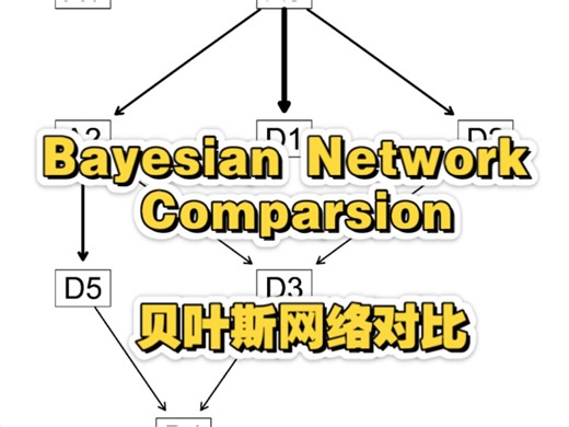 贝叶斯网络(Bayesian network)网络对比 有向无环图 (Directed Acyclic Graphs, DAG)方法学习