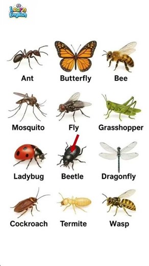 🐝 Learn Insect Names in English! | Fun Vocabulary for Kids #abcs #kids
