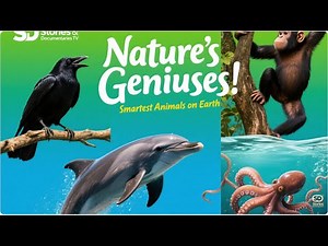 Top 10 Smartest Animals | Beast challenge Stories