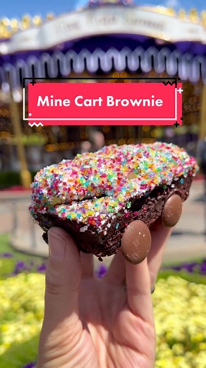 Delicious Mine Cart Brownie at Disneyland