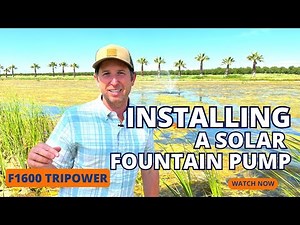 Installing A Solar Fountain Pump To Fight Algae Growth | RPS F1600 Full Install Video