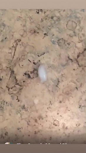 3.1K views · 17 reactions | Garden Hoses & The Olden Days on Reels | Facebook