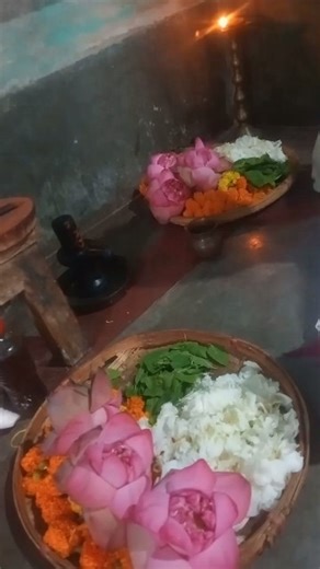 ওঁ নমঃ শিবায় | OM Namaha Shivay 🕉️ Bangla Bhakti Shorts Video 🔱🙏