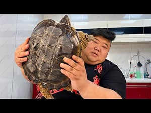 20 catties of snapping turtle, monkey brother and pork belly in a pot of red stew!