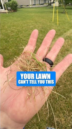 Soil Probe Lawn Test Why Fertilizer Fails When the Soil Is Wrong #shorts