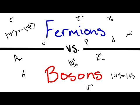 What's the Difference Between Fermions and Bosons?