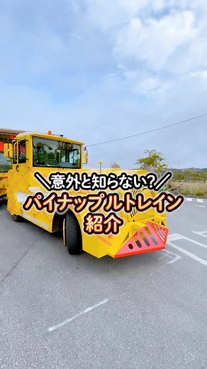 ナゴパイナップルパーク[公式] on Instagram: "👈パイナップルパークの最新情報&お得な情報はこちらから🍍 みんな大好きパイナップルトレイン🚃 どんな種類があるかご紹介♪ 乗っていみたいトレインはあったかな？ コメントで教えてね！ —————————— 🍍子どもも大人も楽しめるテーマパークへようこそ🍍 名護パイナップルパークを満喫するために情報をお届けします✨ @nagopineapplepark 公式HPはプロフィールから✅ WEB来場予約もプロフィールリンク・ハイライトから受付中！ —————————— #沖縄観光#沖縄旅行#パイナップル#名護#ナゴパイナップルパーク#Okinawa#お出かけ#子連れ#カップル#パイナップルパーク#お友達#パイナップルトレイン#テーマパーク#パイナップルカー"