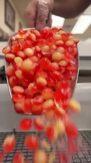 This Candy Machine 😍 | Hercules Candy Co