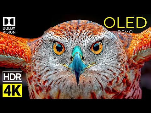 OLED Demo Visual Experience In HDR Dolby Vision | 4K Video