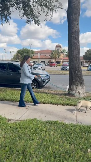 1.9K views · 81 reactions | Great things are happening at the County...