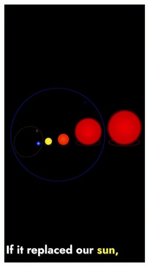 This Star Is Bigger Than the Solar System #space #cosmicexploration #universe