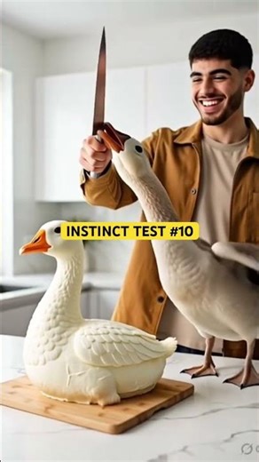 Goose’s reaction to the hyper real cake