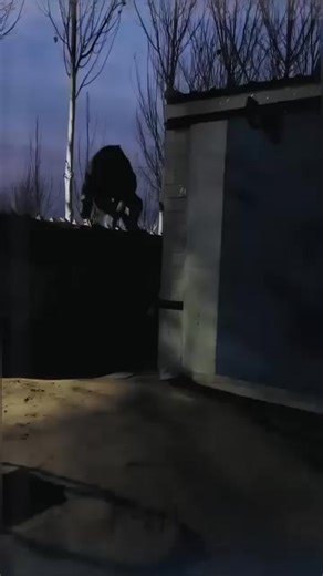 🌞💡 Never stumble in the dark again! With our solar-powered LED light with motion sensor, you get total safety and convenience — with zero electricity costs! ✅ Automatic motion sensor – the light only turns on when you need it ✅ Waterproof & weatherproof – works in rain, snow, and heat ✅ Quick installation – clip or screw it on, no messy cables ✅ Multi-use – perfect for gardens, garages, yards, campsites, and more 🏡 More light. More safety. No energy bills. ⚡️Buy 2 get 1 free - Get your set no