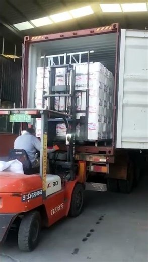 Bulk Toilet Tissue Container Loading | Hewbonn Paper Factory OEM Shipment