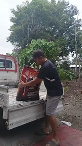 Change feeding . #gamefowl #gamefowlbreeder | Dlm Showfowl