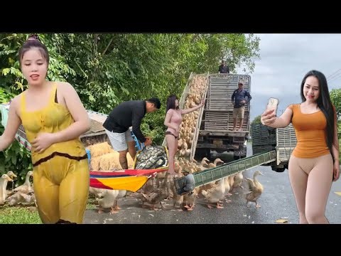 A close-up view of ducks migrating to the new rural area is surprisingly shocking to viewers.