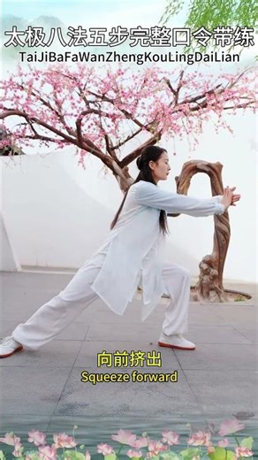 太极八法完整版口令全程带练 #太极 #太极拳 #太极拳精编七式 #7天学会1套太极拳 #taichi