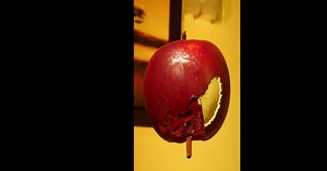 Download & Play Perfect Peeling on PC & Mac (Emulator)