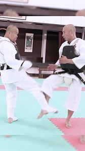 Demo Technique 2 #training #sensei #selfdefense #shorinjikempo #martialarts #kempo #kick #reelfb | Shorinji Kempo 少林寺拳法