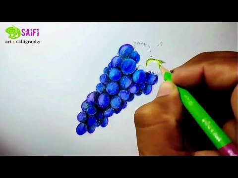 How to Draw Grapes with Colored Pencils | Easy Realistic Fruit Drawing for Beginners. #Saifiart