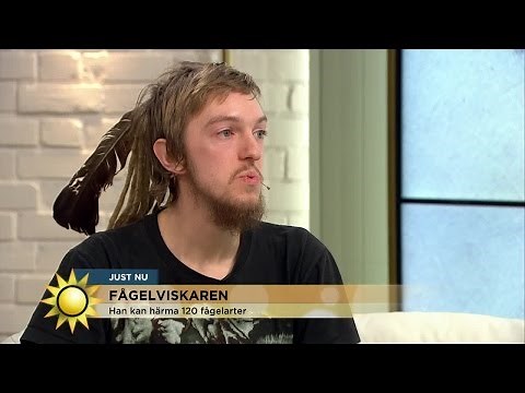 Han kan härma 120 fågelarter - Nyhetsmorgon (TV4)