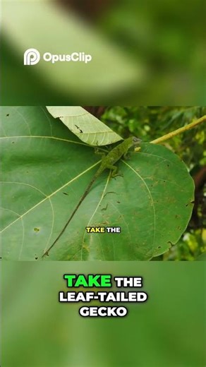 Camouflage Geometry: How Animals Hide in Plain Sight 🤯🦓 #shorts #math #camouflage