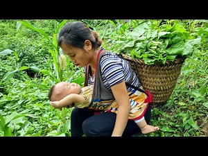 Single mother: Harvesting vegetables to sell at the market, daily life of mother and daughter