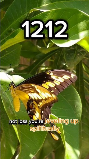 ✨ 1212 Angel Number Meaning – You’re Evolving Faster Than You Think ✨🦋