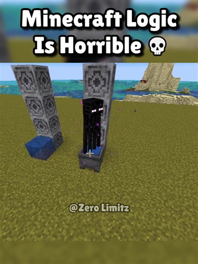 Minecraft Logic Is Horrible 💀🥀 #minecraftmemes #minecraftjava #fyp #minecrafter #minecraft